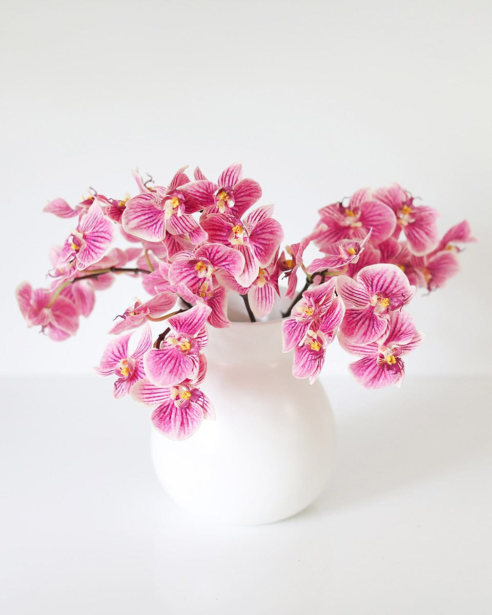 Faux Phalaenopsis Orchids Simply Styled in a Ceramic Vase
