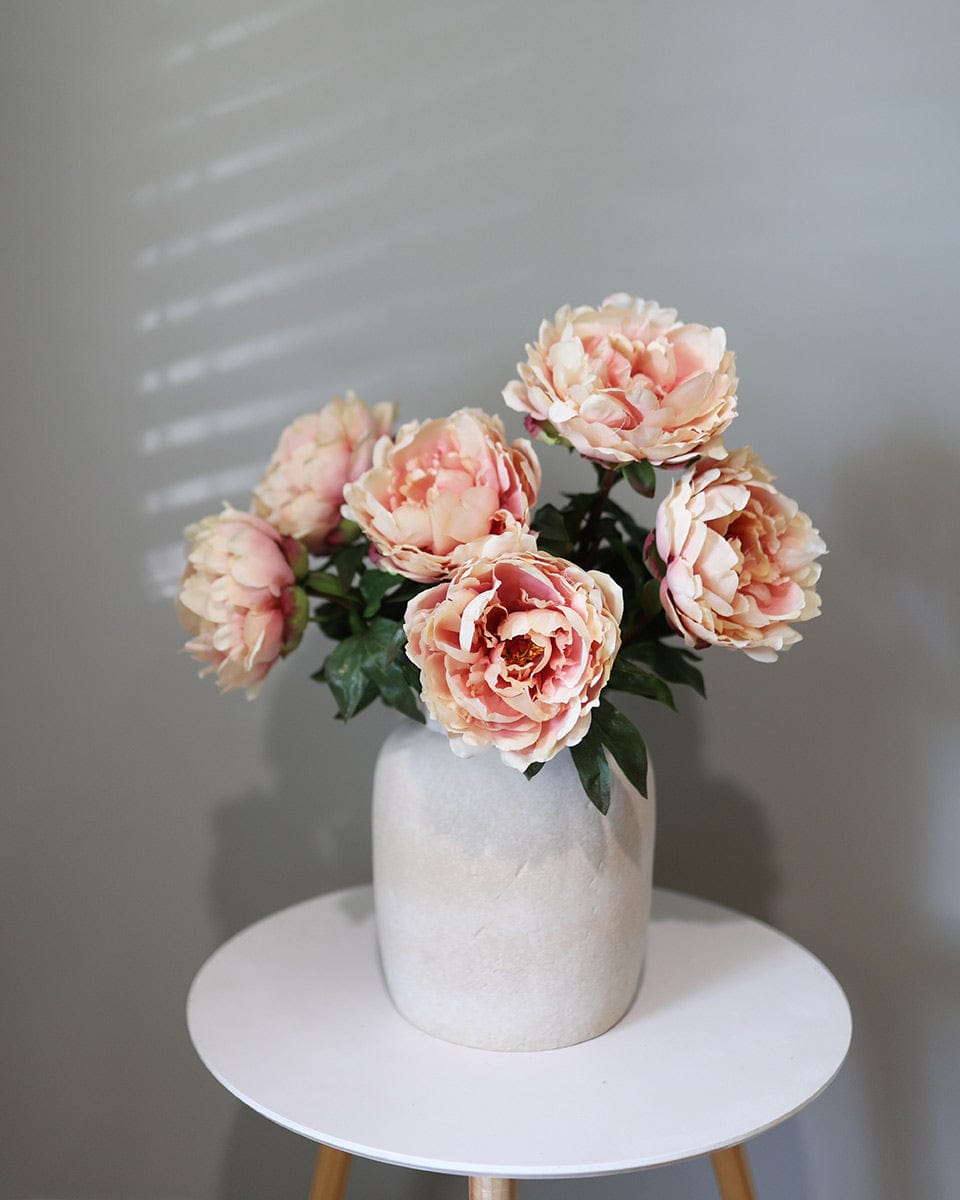 Soft Pink Peach Peony Flowers Home Decor