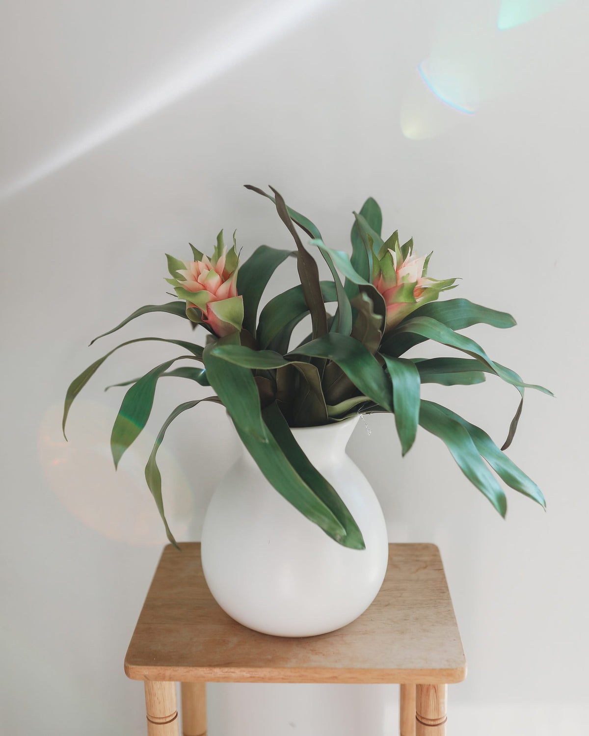 Pink faux Bromeliad plant in White Vase