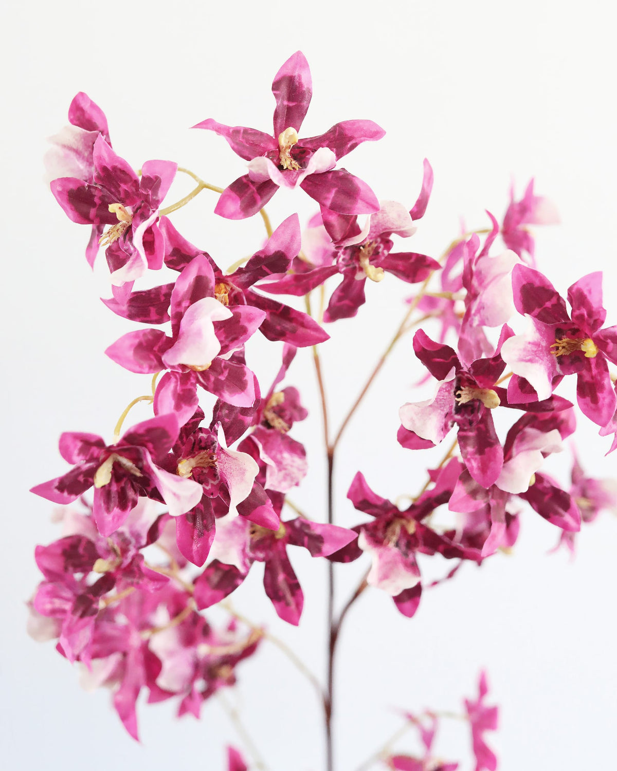 Pink artificial oncidium flower close up 