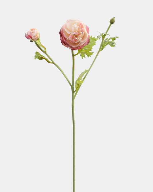 Two Tone Pink Ranunculus Real Touch Flowers