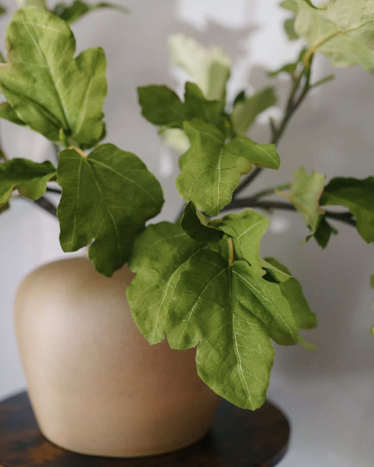 Artificial Fig Leaves Close up 