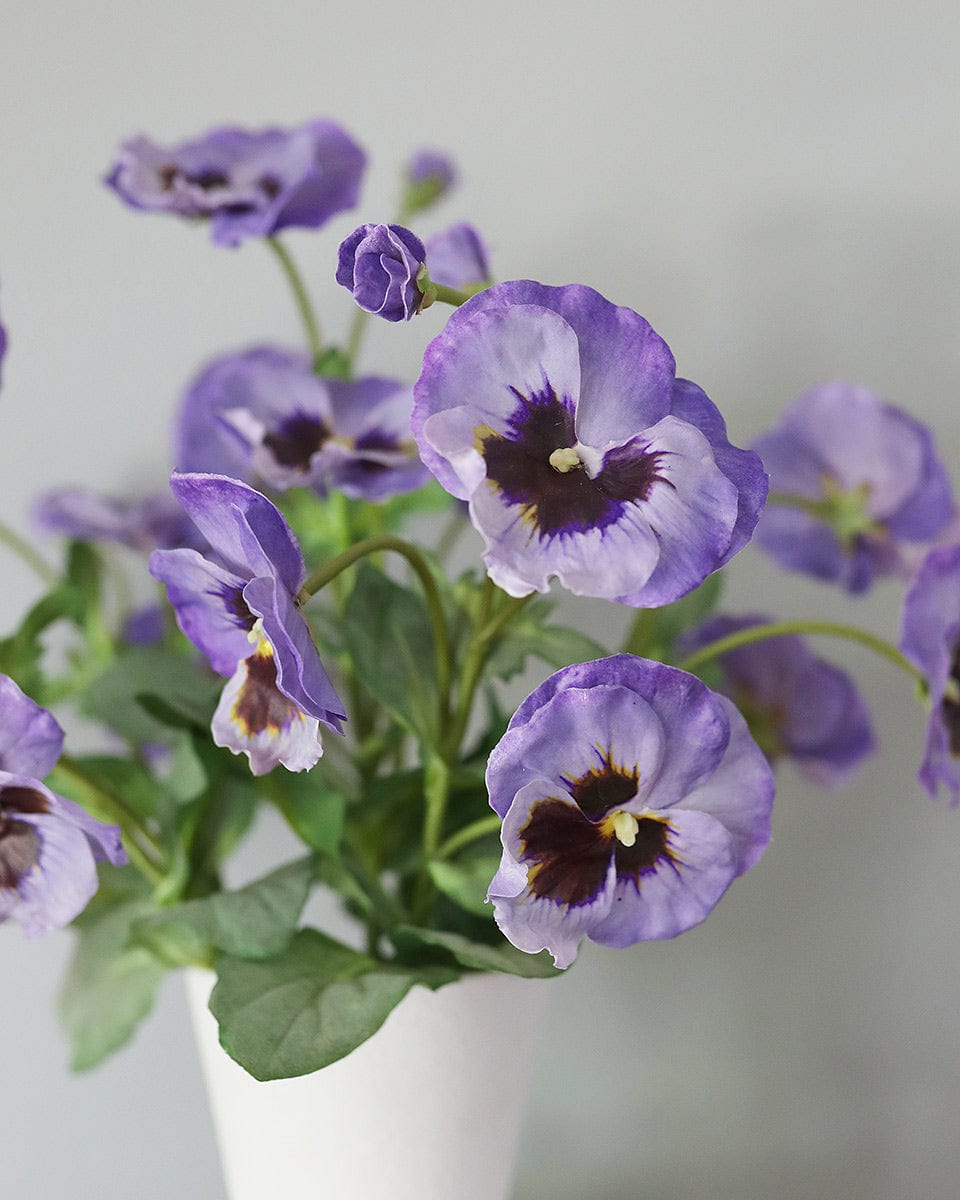 Close Up Photograph of Purple Fake Pansy Blooms