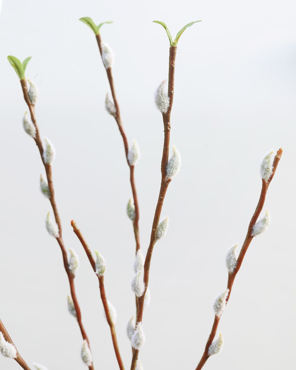 Fake Branches Pussy Willow Blossoms
