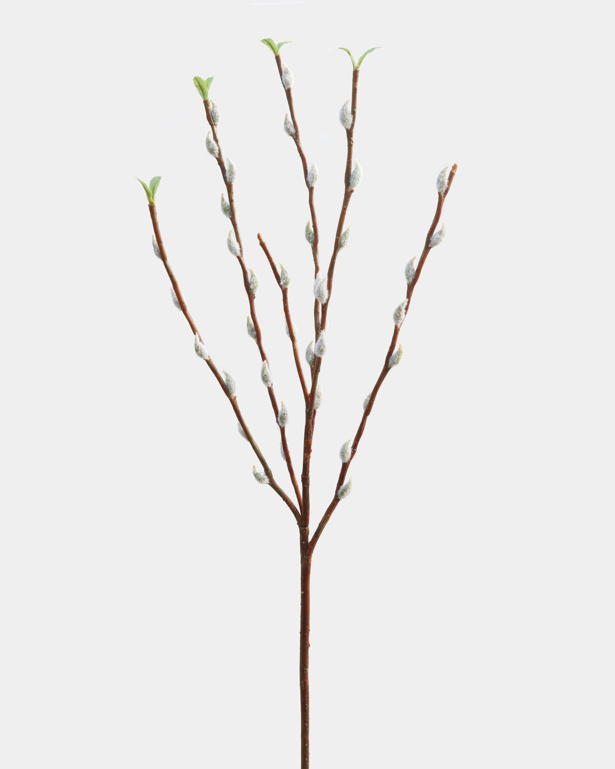 Artificial Pussy WiIlow Branch