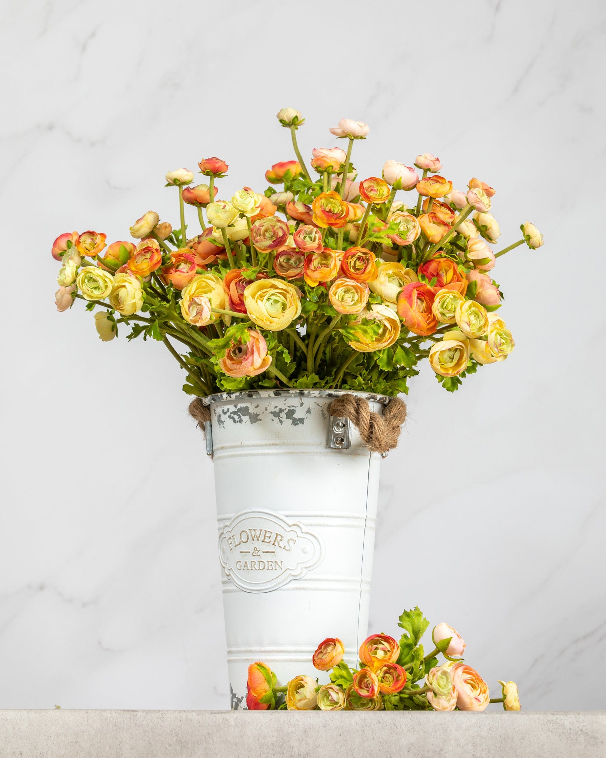 Apircol Ranunculus Apricot Ranunculus Spray Stem 22”