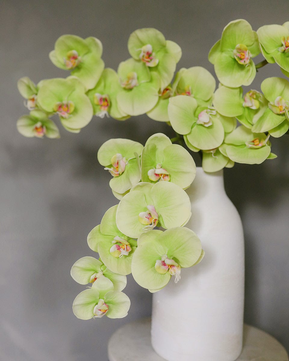Fake Green Orchids Cascading Phalaenopsis