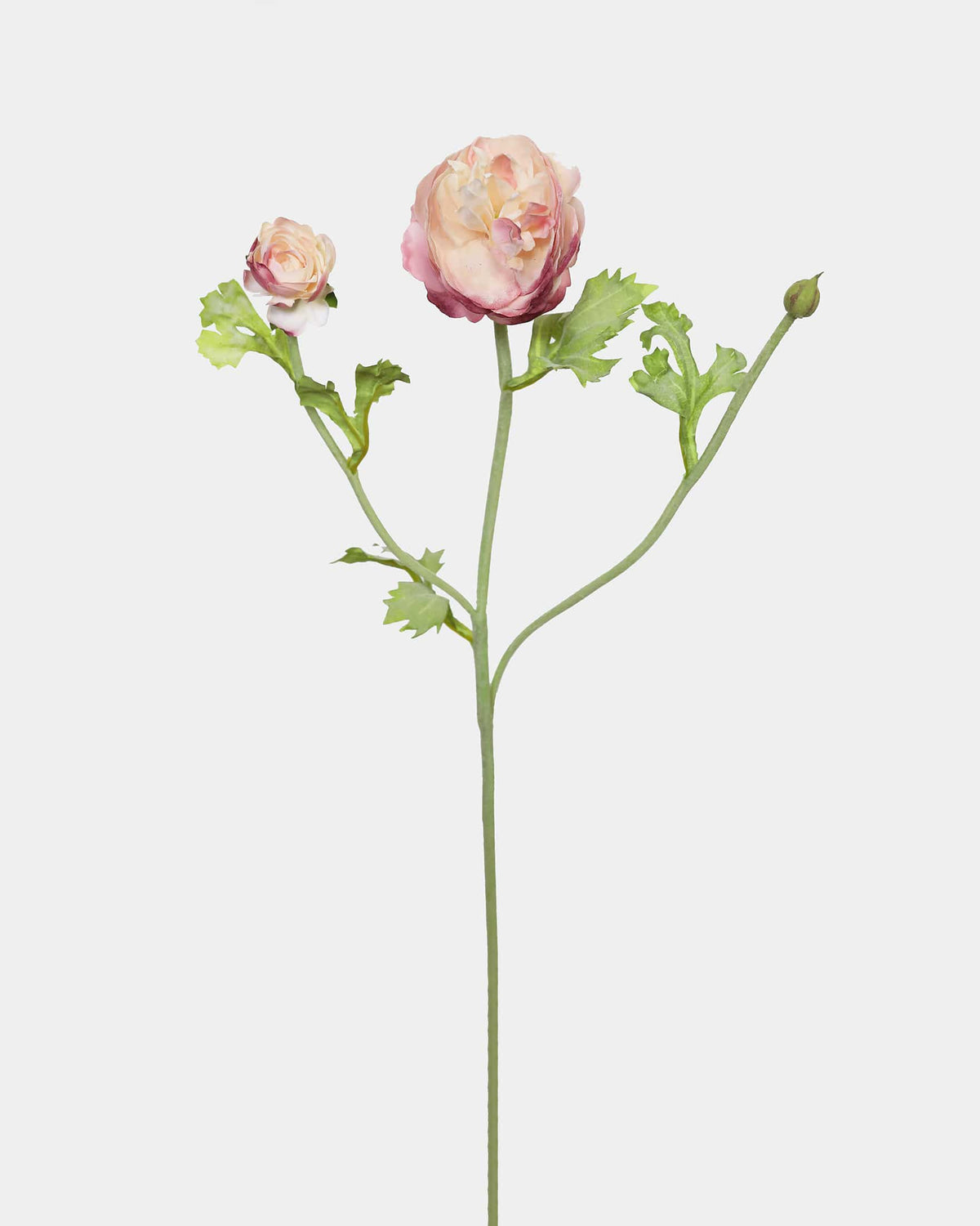 Two Tone Pink Ranunculus Real Touch Flowers