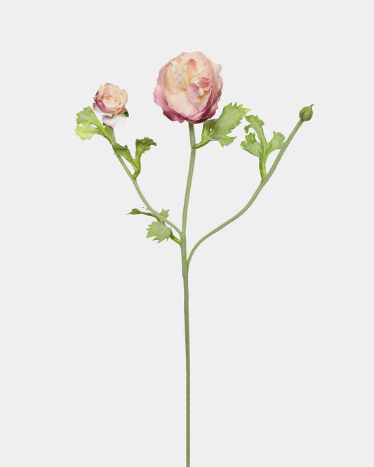 Two Tone Pink Ranunculus Real Touch Flowers