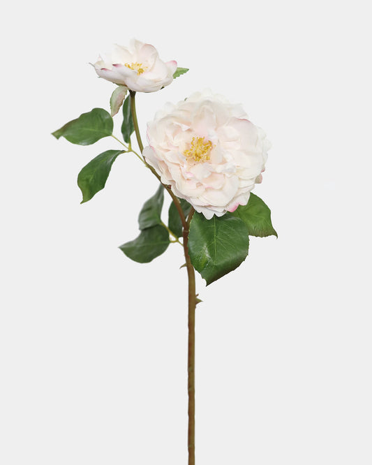 Soft Pink Open English Rose Natural Touch Flowers