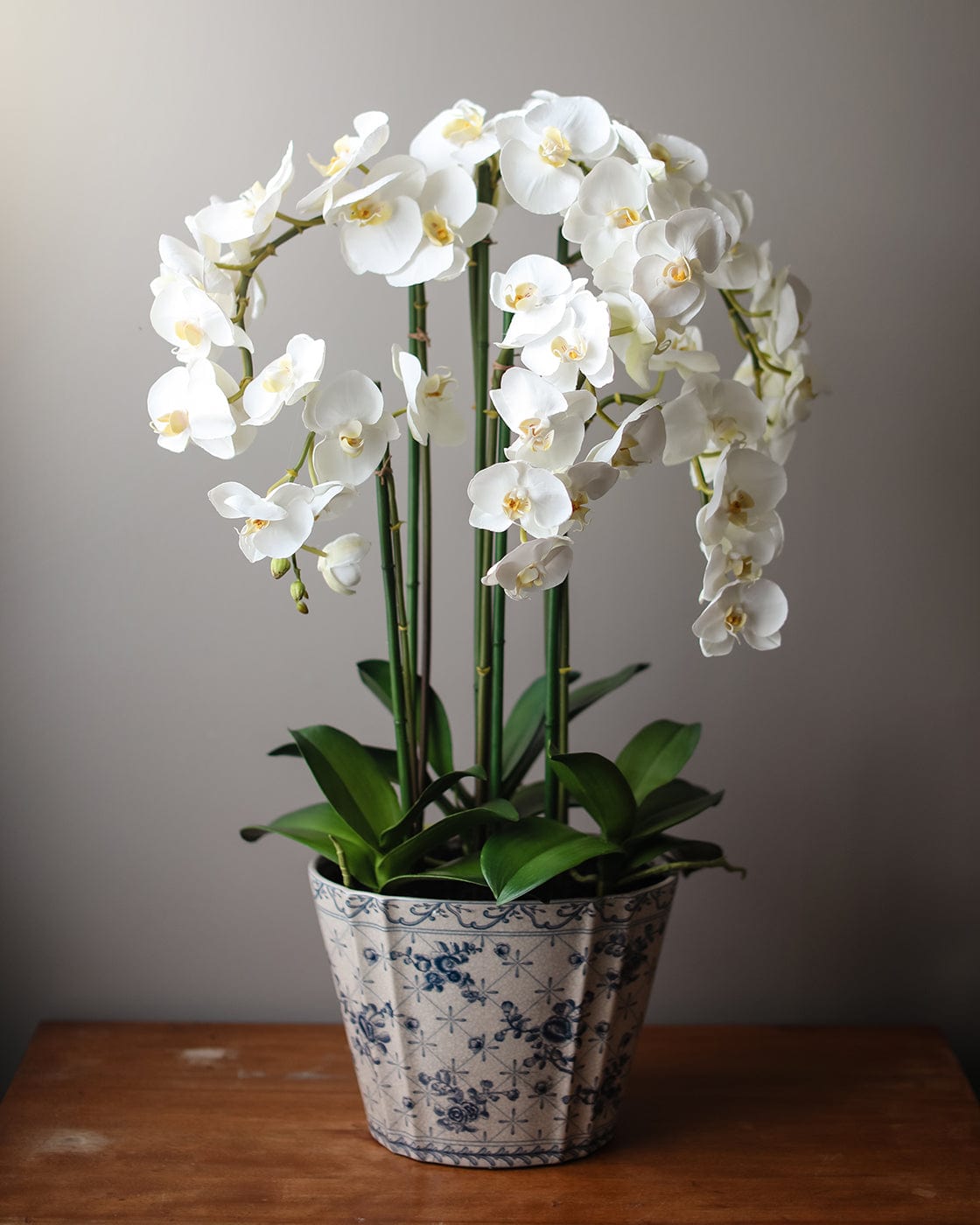 Prestige Botanicals Artificial Real Touch Orchids in Floral Print Vase