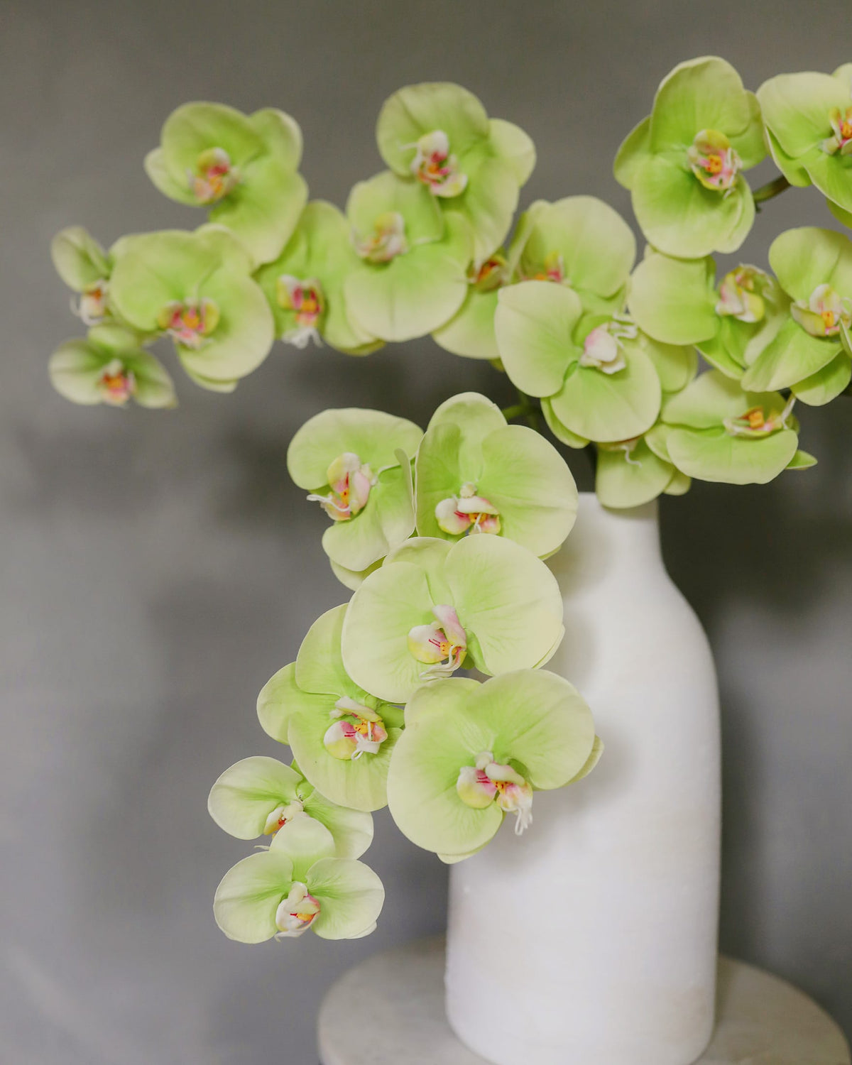 Green Artificial Phalaenopsis Orchid Flowers