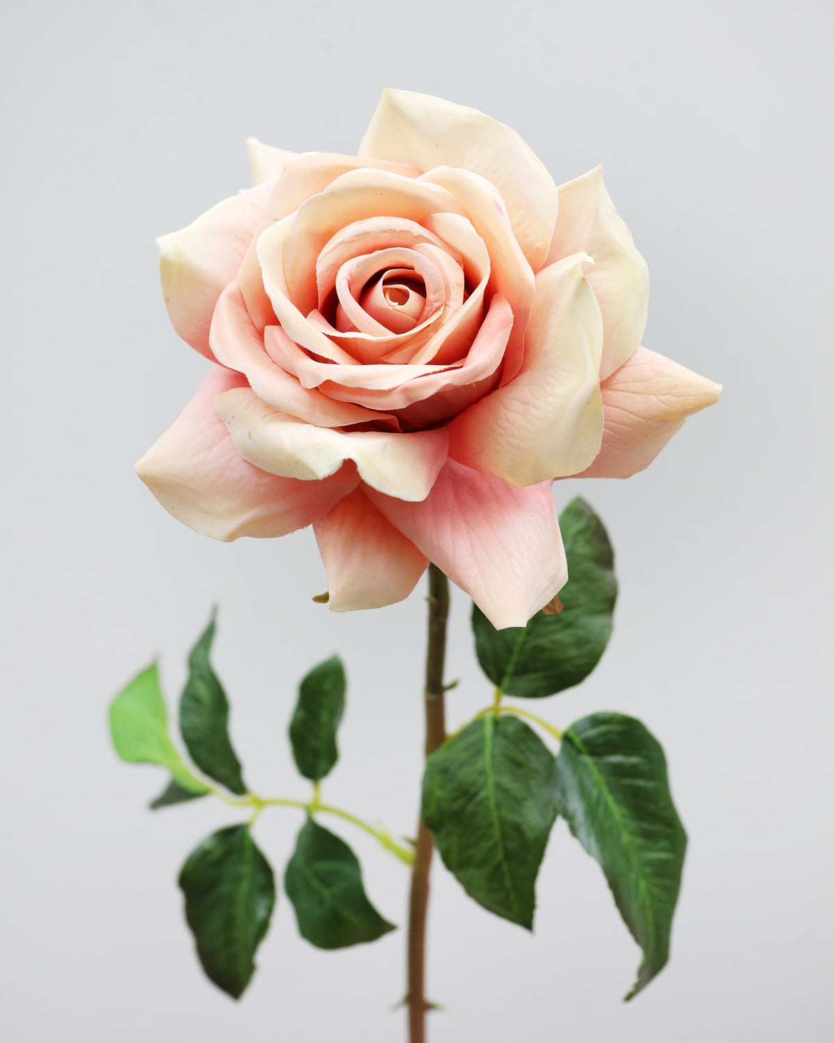 Peach Pink Real Touch Rose Stem close up 
