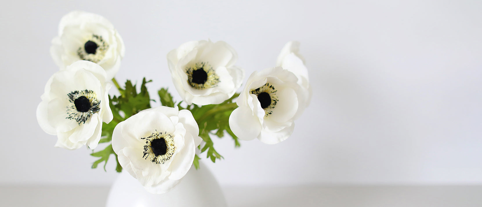 Real Touch Flowers White Anemones with Black Centers