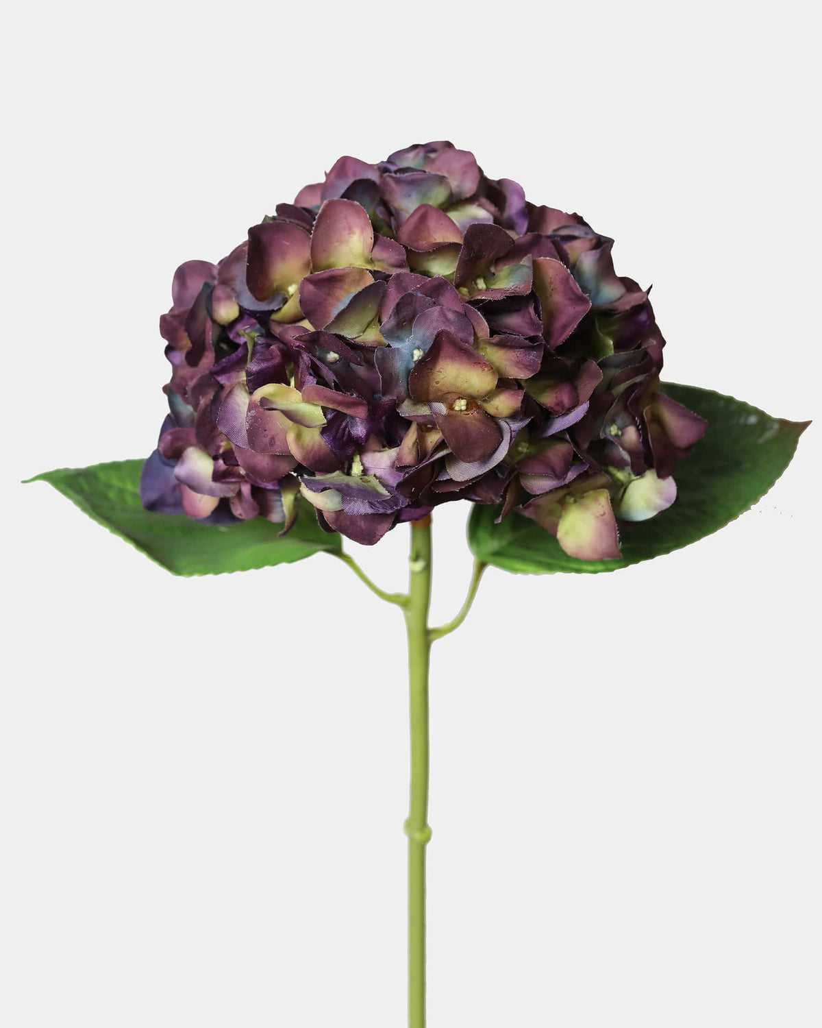 Close Up Image of Real Touch Hydrangea in Purple Color