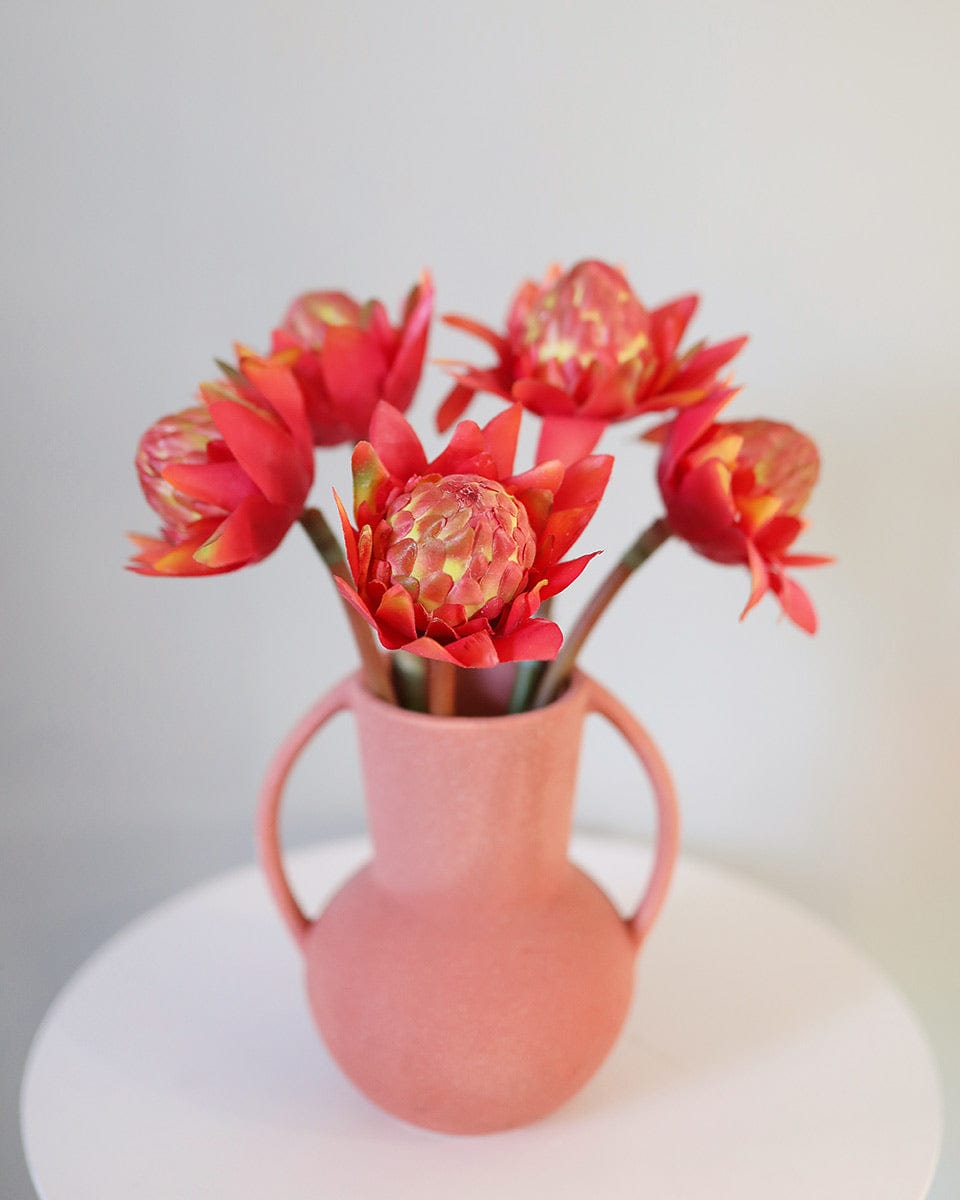 Fake Waratah Proteas in Red Orange in Coral Vase