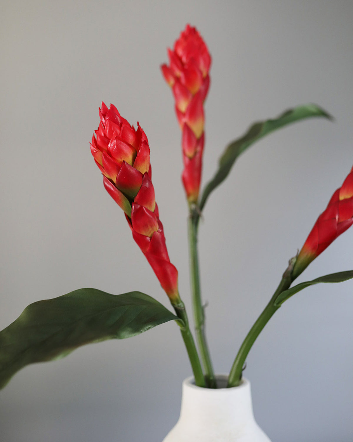 Red Fake Ginger Flowers in a vase