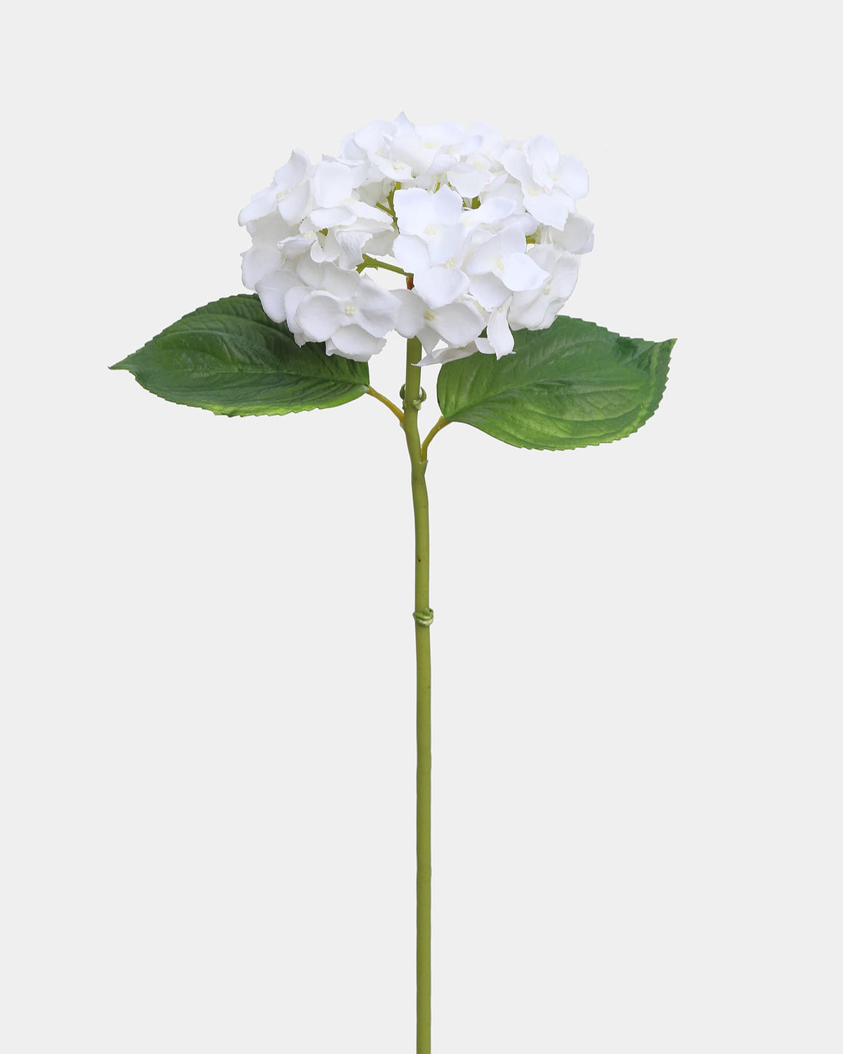 Artificial white hydrangea stem with white flowers and green leaves on a light gray background