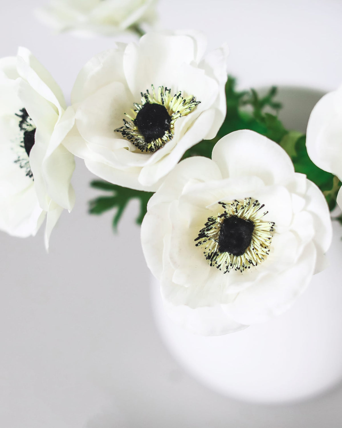 White faux anemone flowers with dark centers and yellow-green accents, arranged in a white vase against a soft light gray background.
