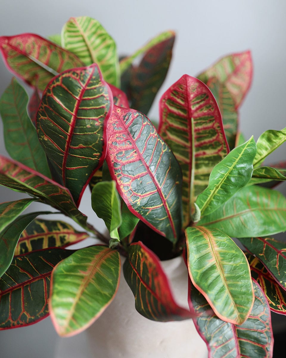 Fake Greenery Colorful Croton Leaves