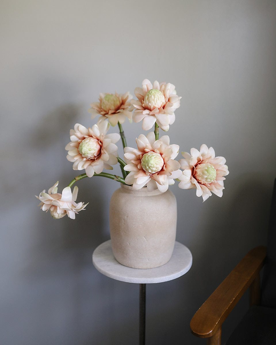 Pink Tropical Waratah Proteas Displayed in Ceramic Vase