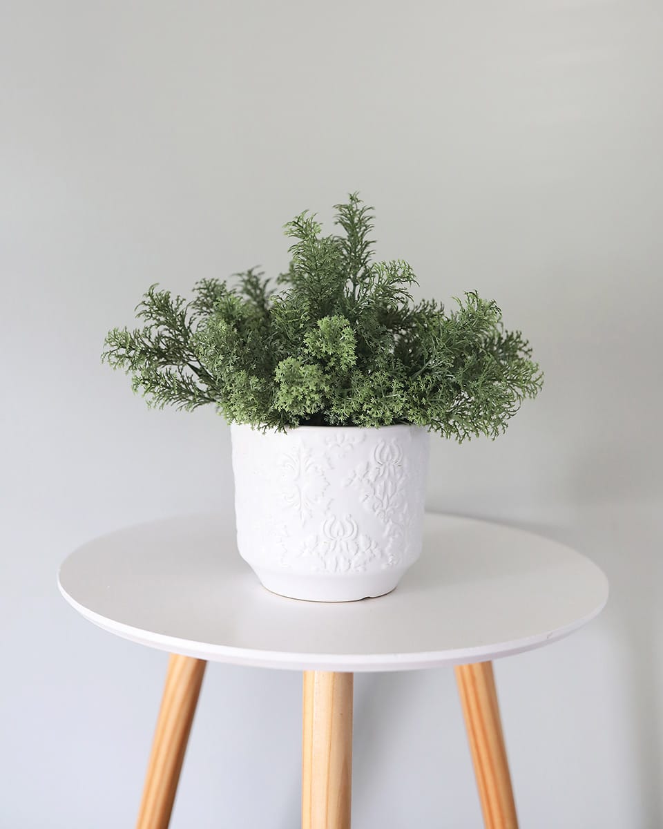 Fake Moss Bush in Planter Faux Greenery