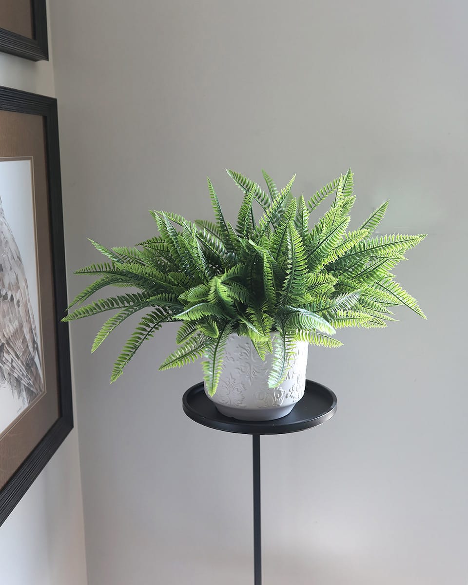 Fern Leaf Bushes Styled in Planter