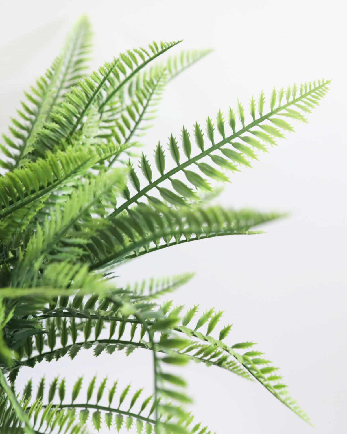 Artficial UV and Fire Resistant Fern Bush close up 