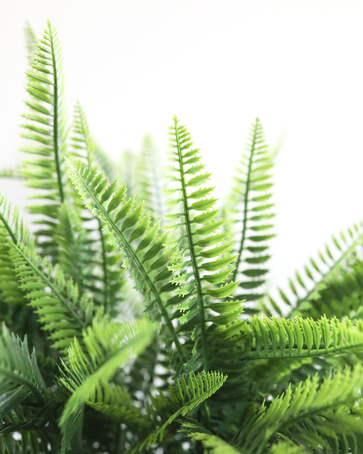 Artficial UV and Fire Resistant Fern Bush close up
