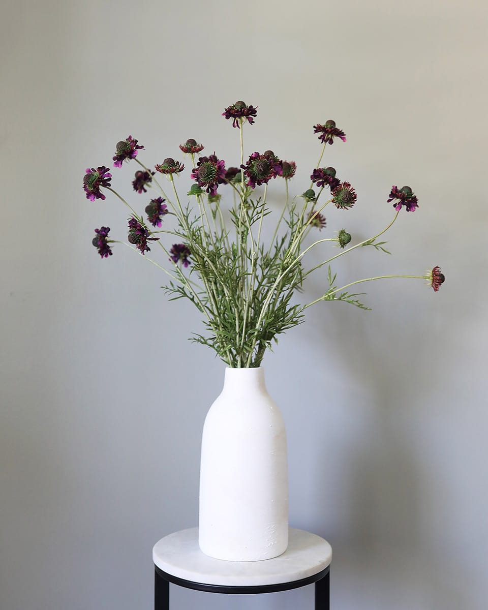 Wildflowers