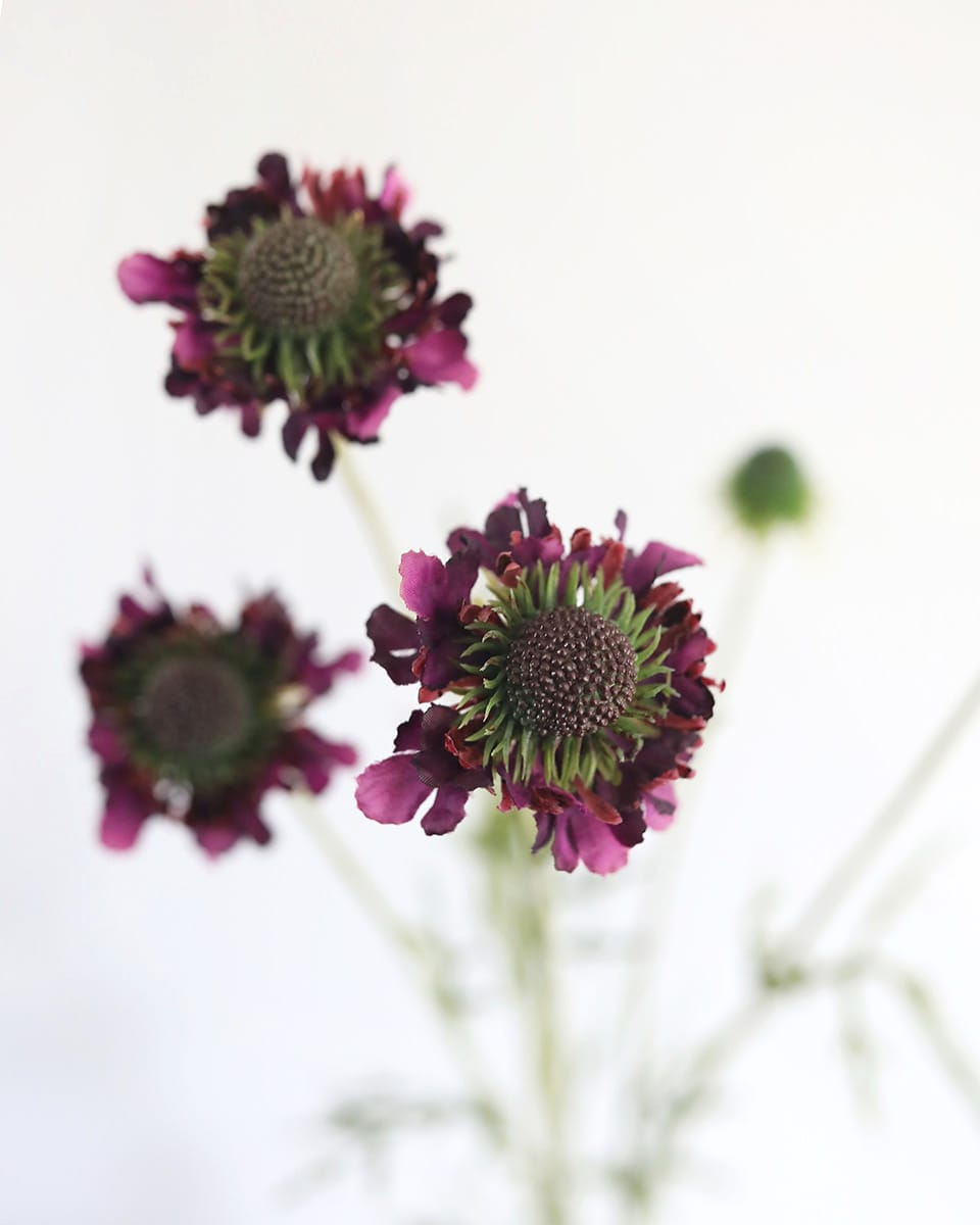 Purple Flowers Scabiosa Silk Flowers