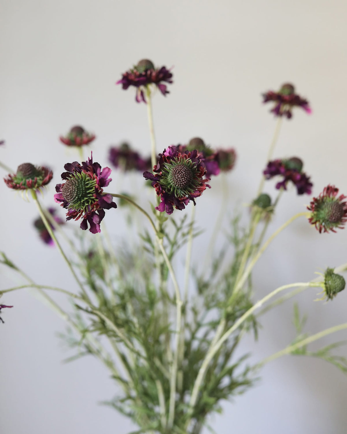 Artificial Violet Scabiosa Wildflower Blooms