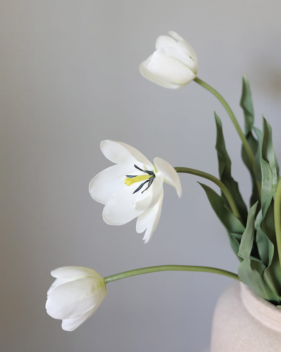 Lifelike White Tulip Flowers