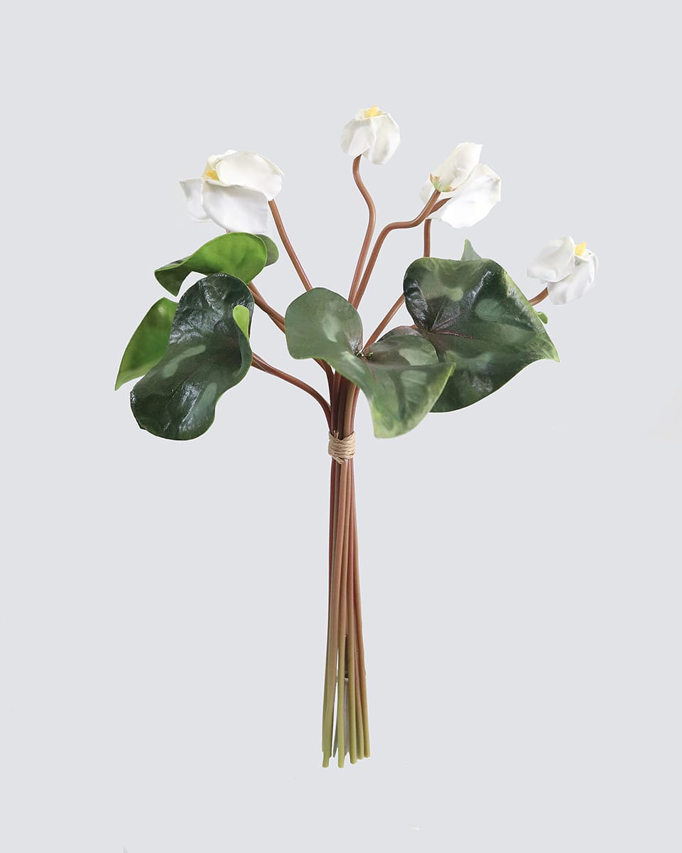 White Cyclamen Bouquet Flower Bundle