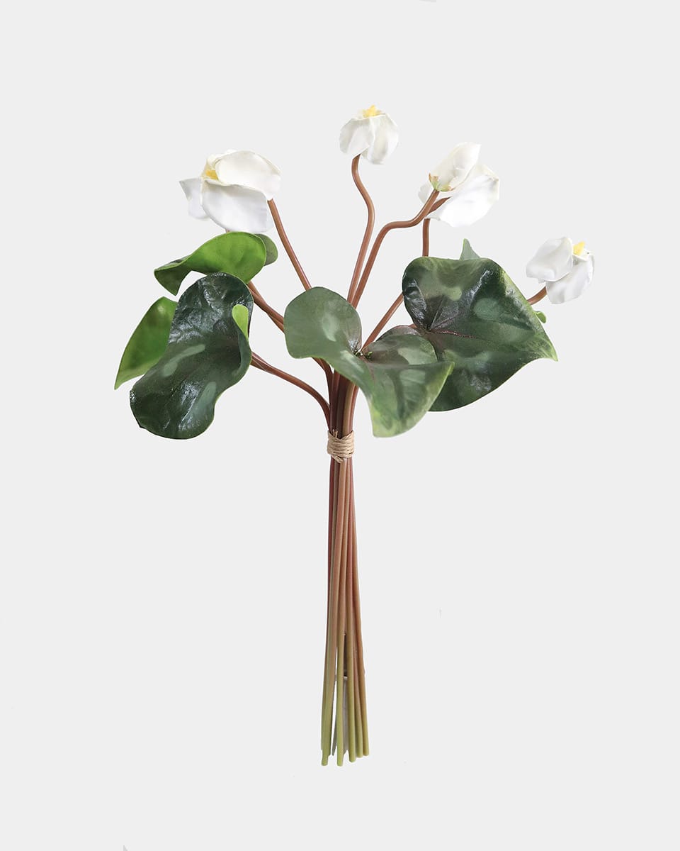 White Cyclamen Bouquet Flower Bundle