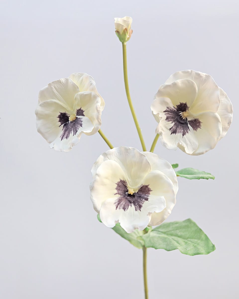 Faux Florals Pansies in Cream