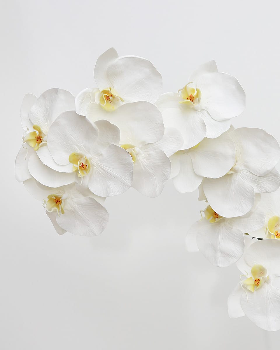 Prestige Botanicals Artificial Long White Phalaenopsis Orchid Stem close up