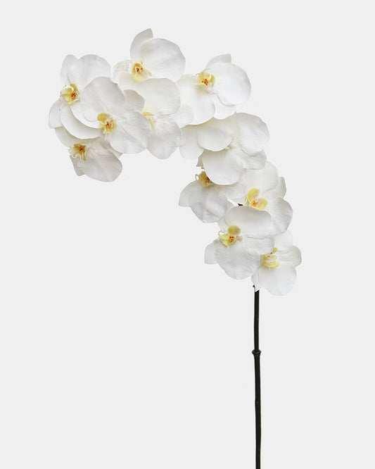 Prestige Botanicals pb-stem Artificial Long White Phalaenopsis Orchid Stem