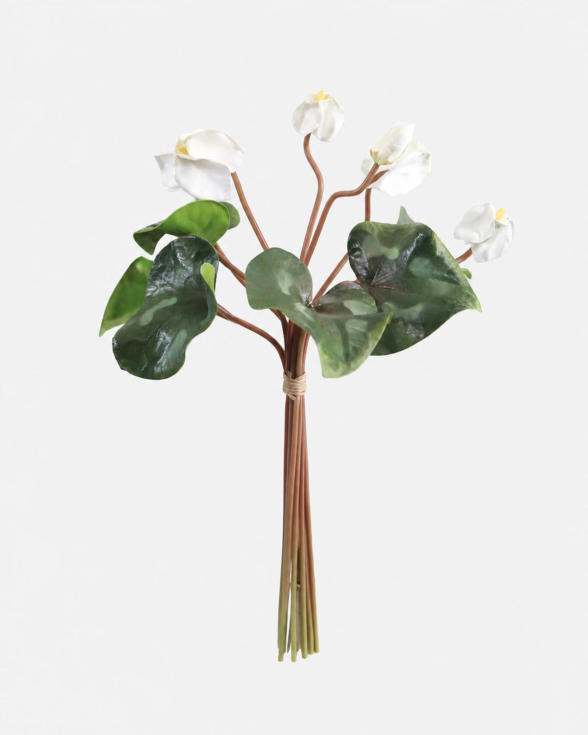 A faux Cyclamen featuring white blossoms with yellow centers and glossy green leaves on brown stems, tied together with a thin band of natural fiber, set against a solid light gray background.
