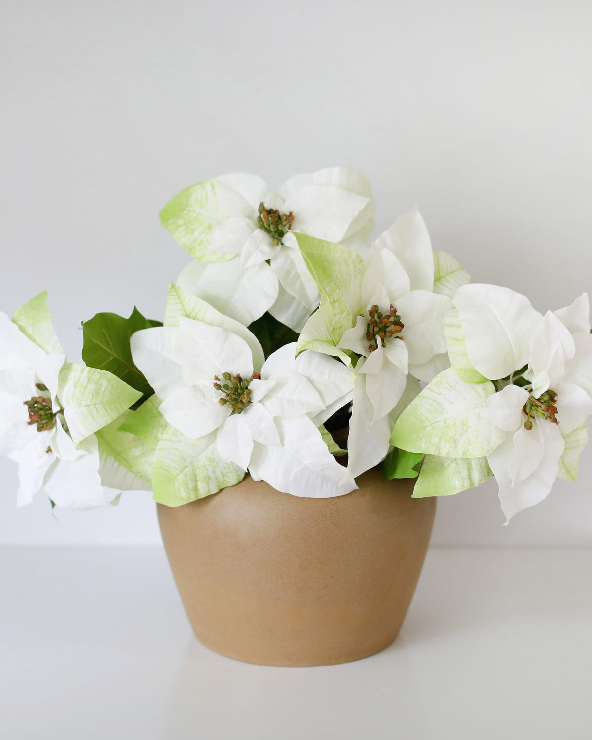 White Fake Poinsettias in a vase