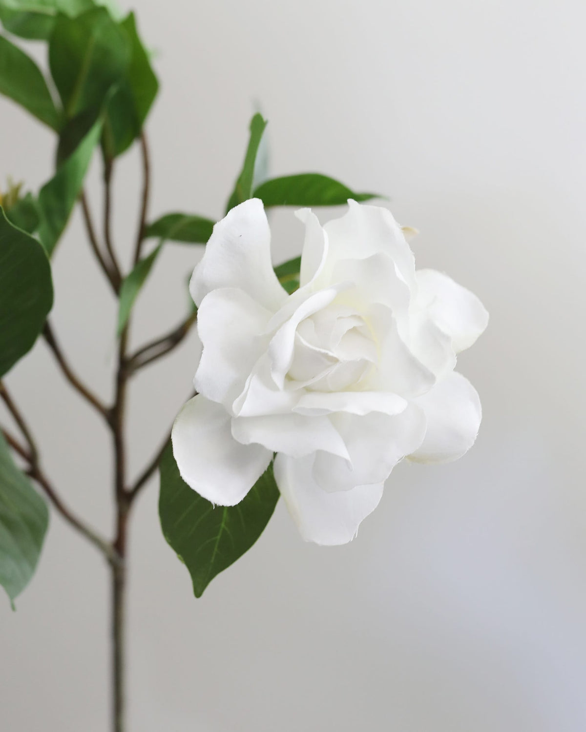 A single Artificial gardenia bloom with layered petals and dark green leaves on a brown stem, photographed against a plain light background.