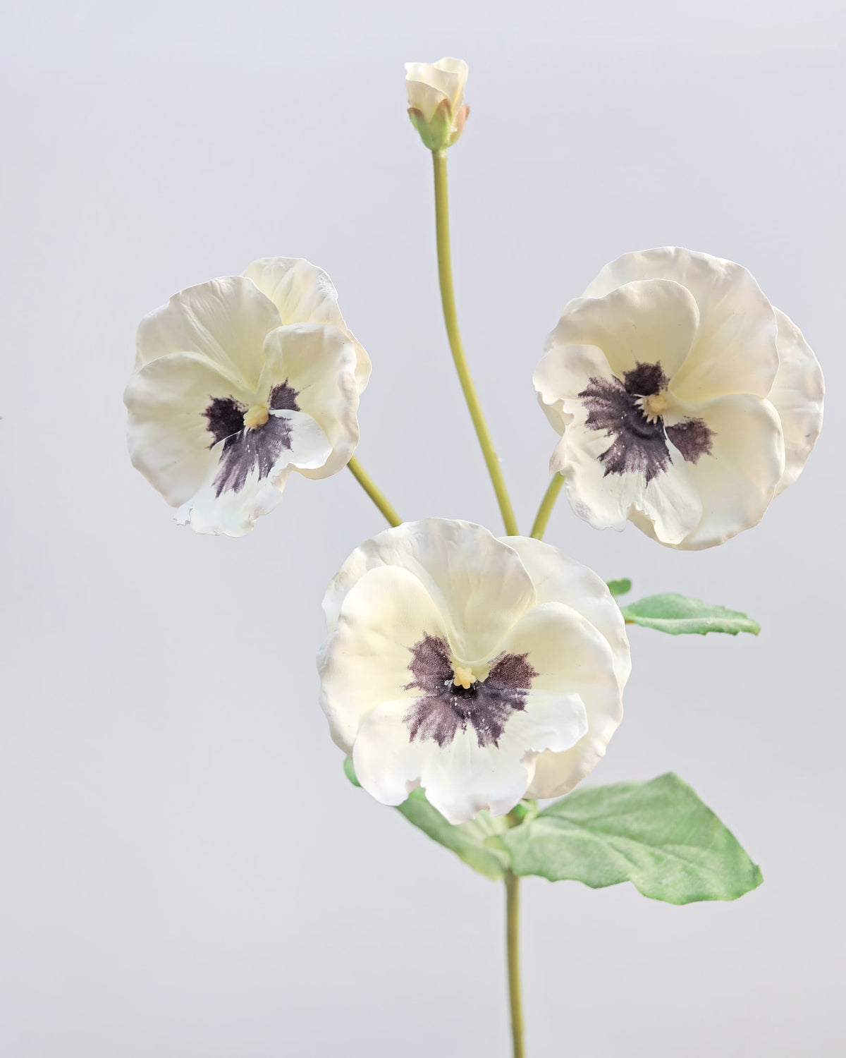 Faux White Pansy close up 