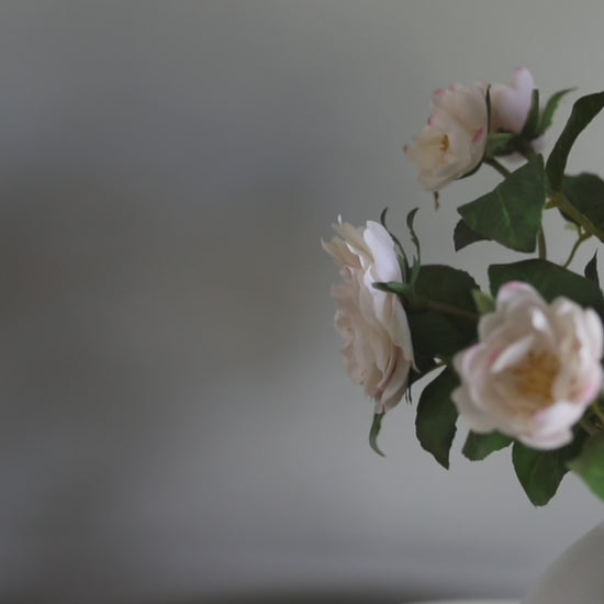 Light Pink Soft Touch English Roses Home Decor