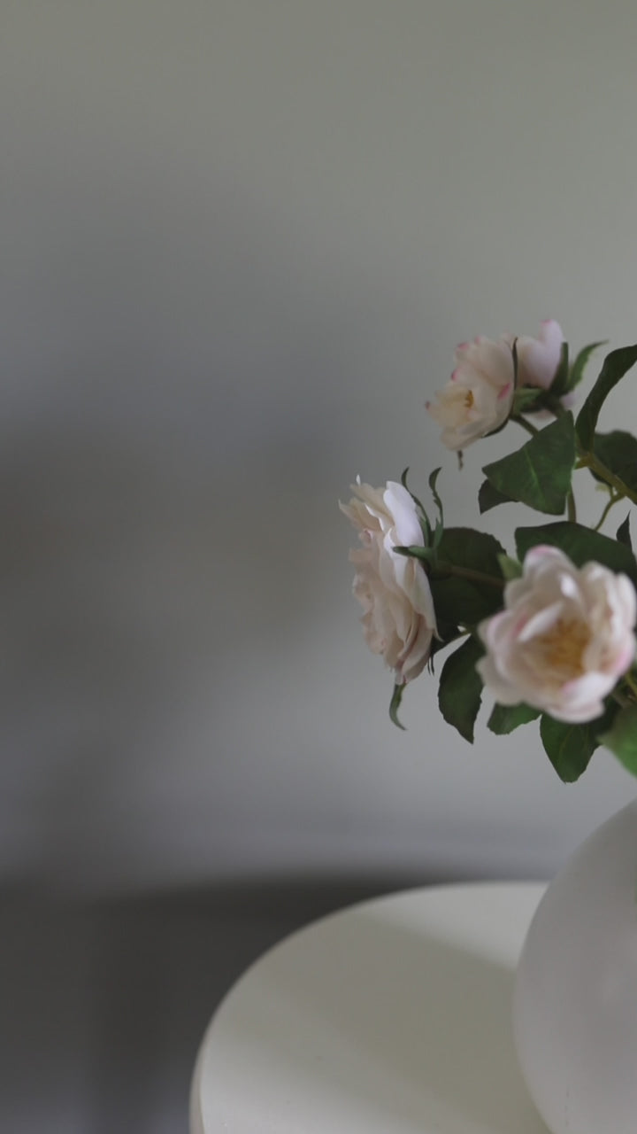 Light Pink Soft Touch English Roses Home Decor