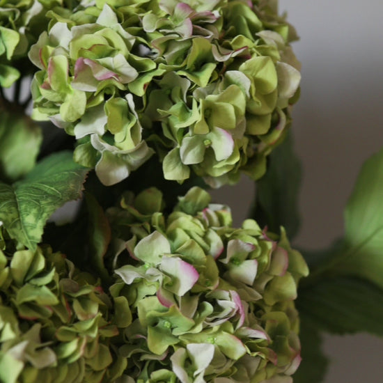 Green Double Hydrangeas in Vase Faux Flowers Video