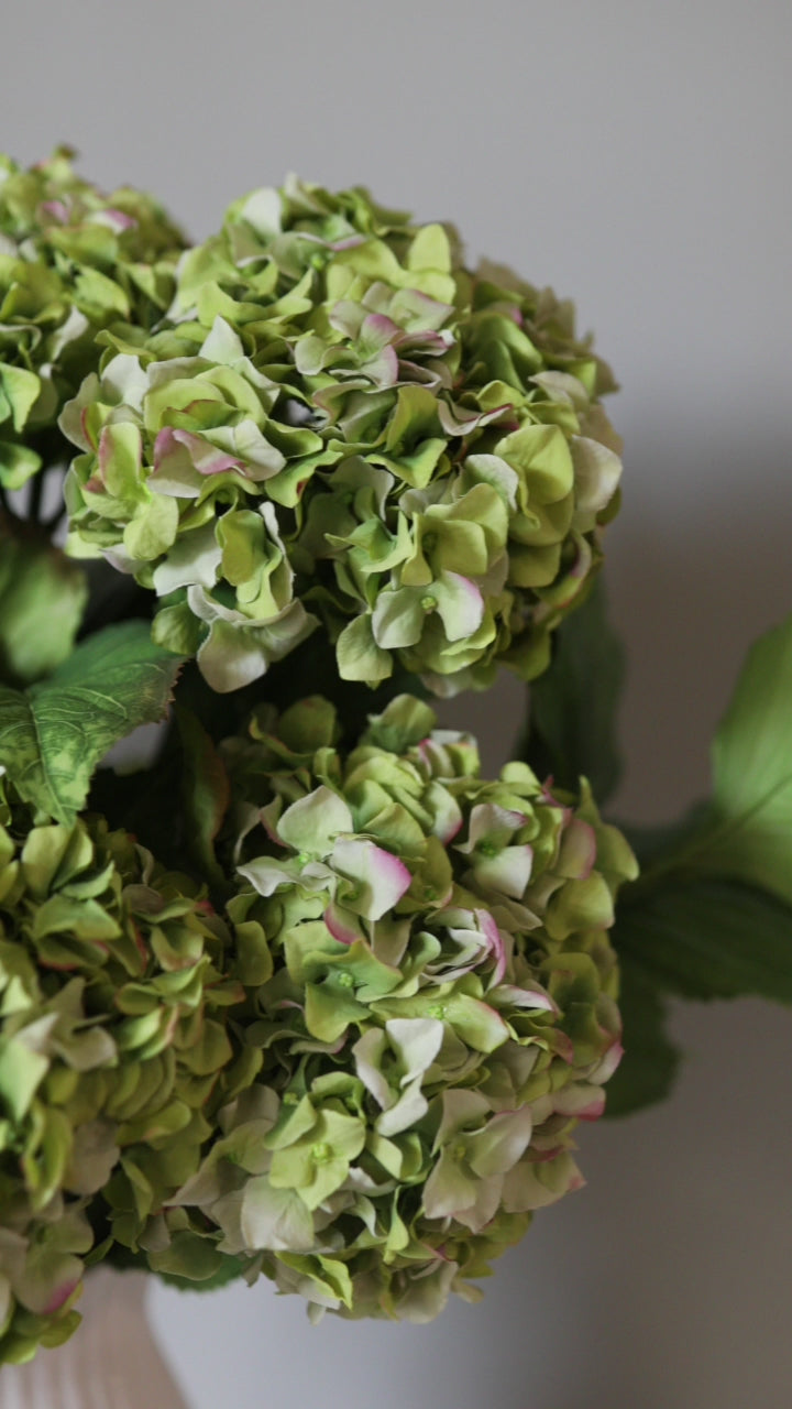 Green Double Hydrangeas in Vase Faux Flowers Video