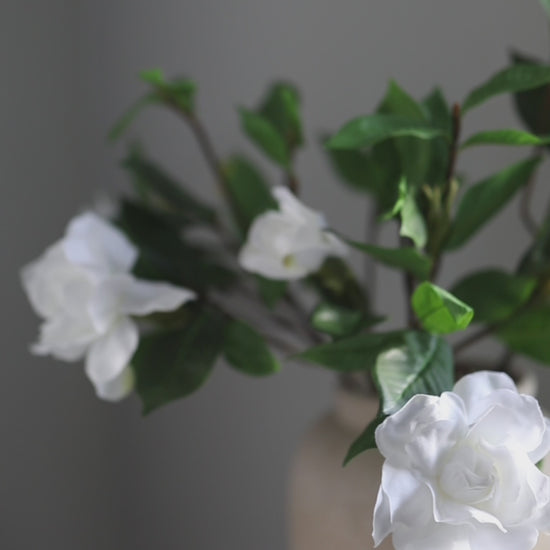 Video Showcasing Silk Flowers White Gardenias