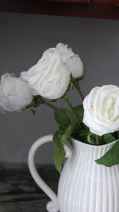 Large White Open Roses in Pitcher Vase Video