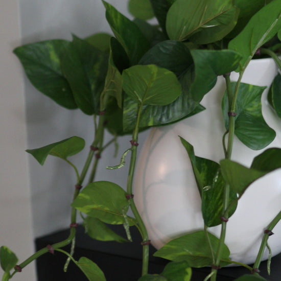 Fake House Plants Trailing Pothos