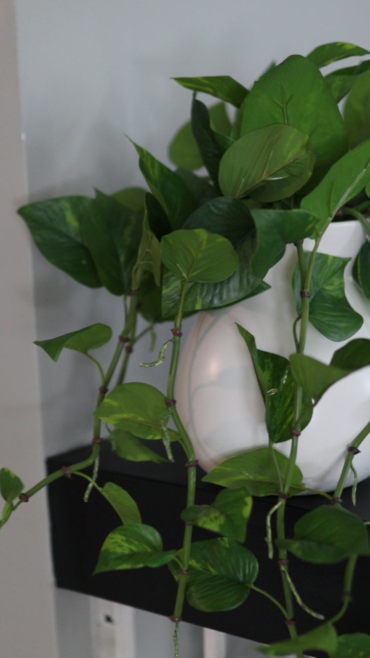 Fake House Plants Trailing Pothos